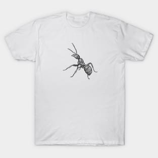 Carpenter Ant T-Shirt